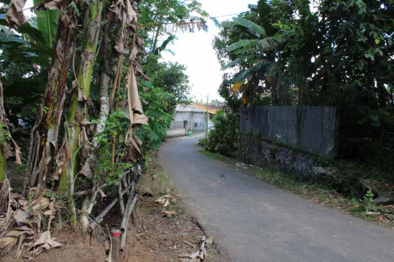 dijual tanah desa banjarsari kec glagah