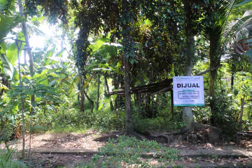 dijual tanah desa banjarsari kec glagah