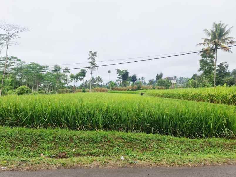 dijual tanah desa caringin wetan kec