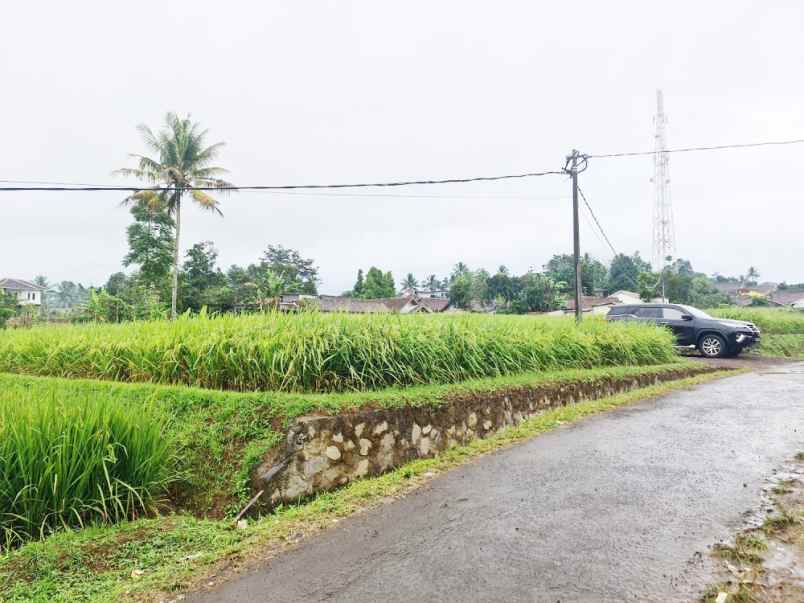 dijual tanah desa caringin wetan kec