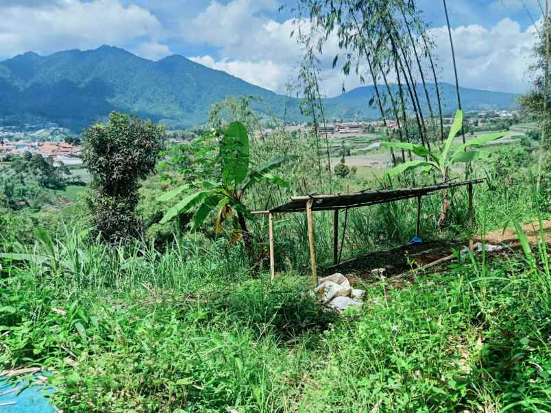 dijual tanah desa pasirhalang kecamatan