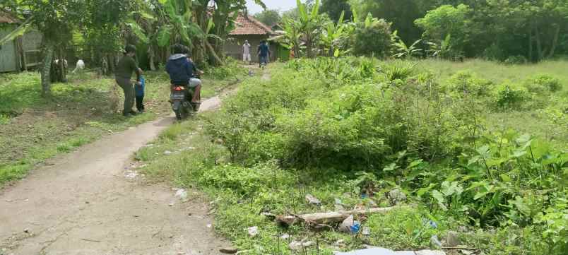 dijual tanah desa rido manah kecamatan setu