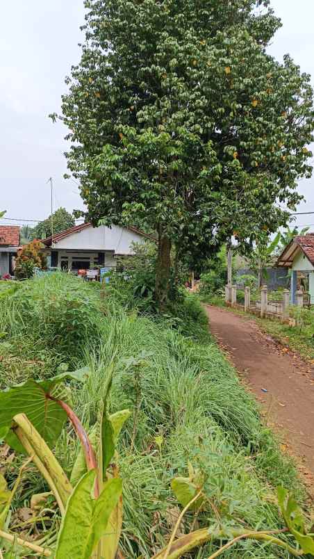 dijual tanah di kampung kalijati