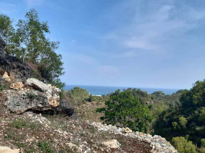 dijual tanah dusun gumulharjo desa