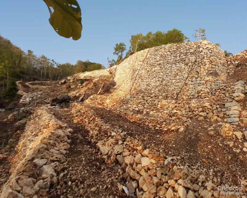 dijual tanah dusun gumulharjo desa