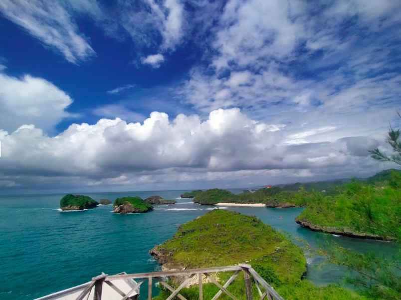 dijual tanah dusun gumulharjo desa