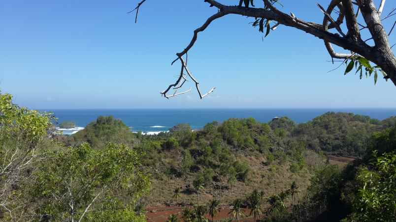 dijual tanah dusun gumulharjo desa