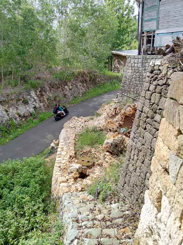 dijual tanah dusun gumulharjo desa