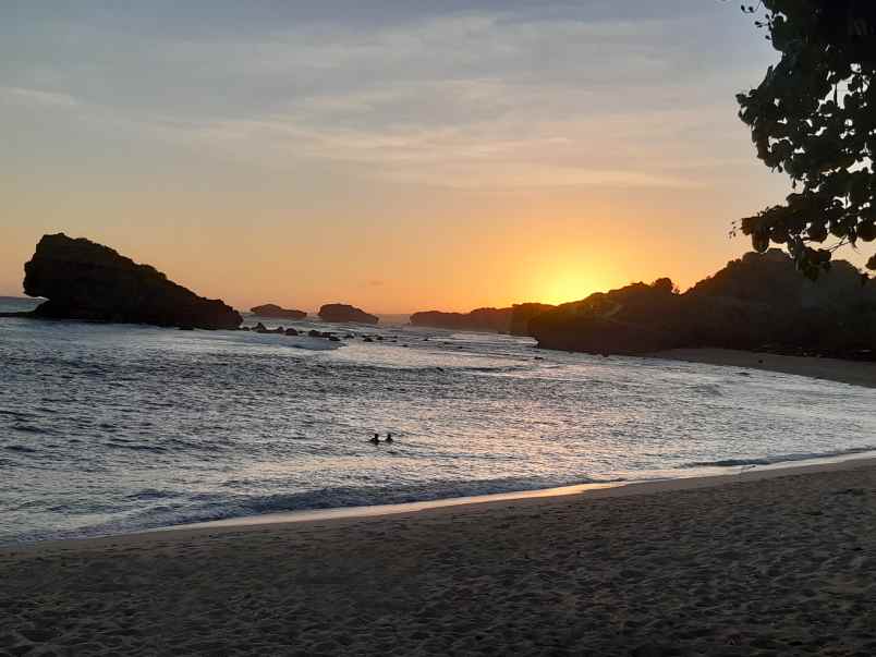 dijual tanah dusun gumulharjo desa