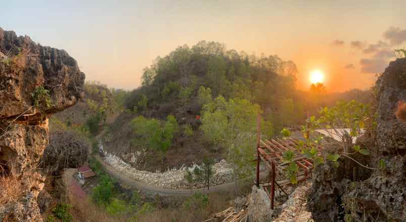 dijual tanah dusun gumulharjo desa