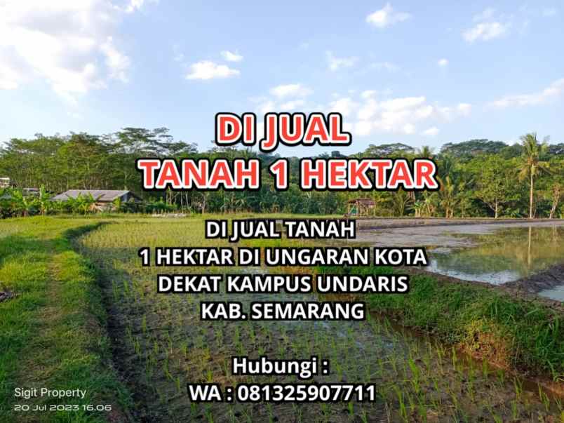 dijual tanah gedanganak