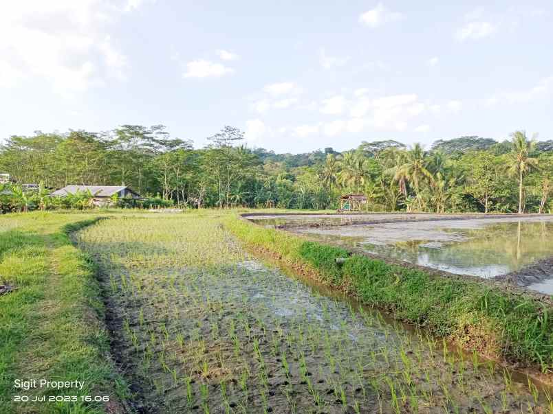 dijual tanah gedanganak