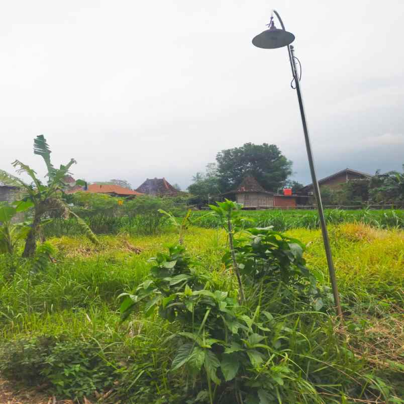 dijual tanah gondang legi kel