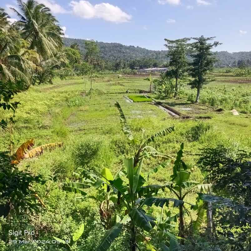 dijual tanah jalan lingkar ambarawa