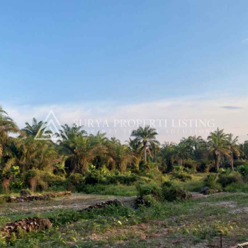 dijual tanah jalan makmur dsn 5 desa