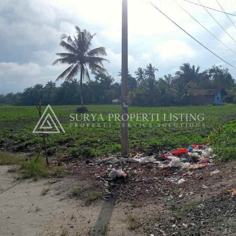 dijual tanah jalan makmur dsn 5 desa