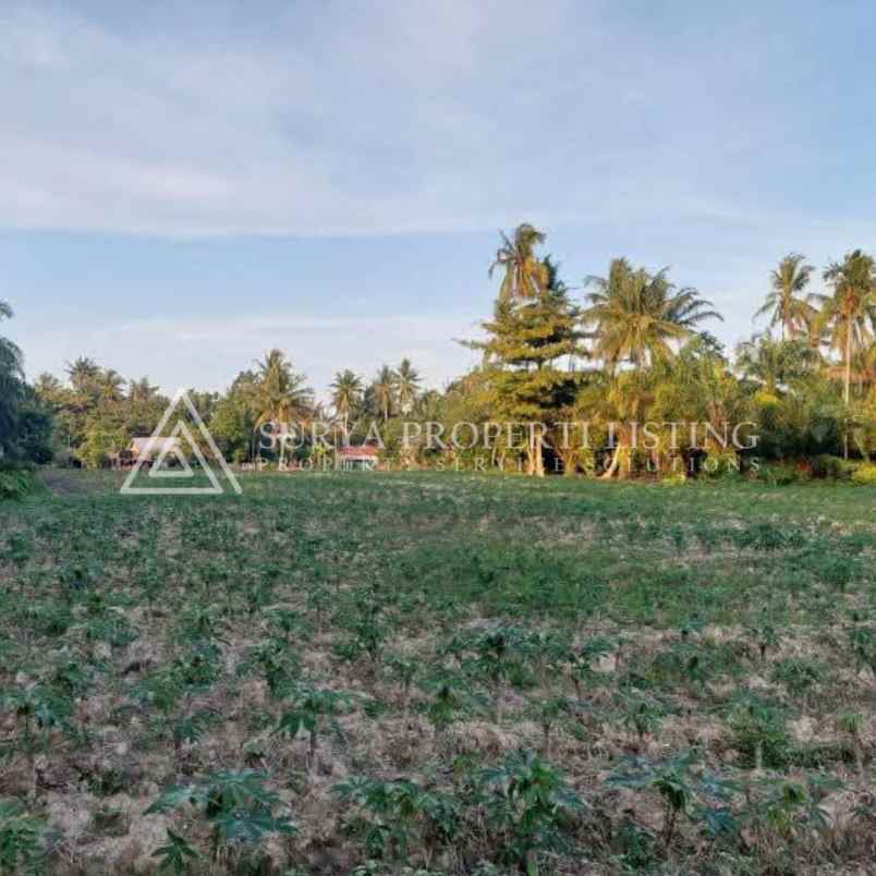 dijual tanah jalan makmur dsn 5 desa