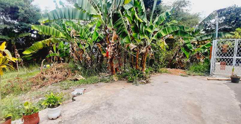 dijual tanah jalan mulya