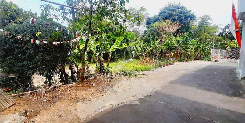 dijual tanah jalan mulya