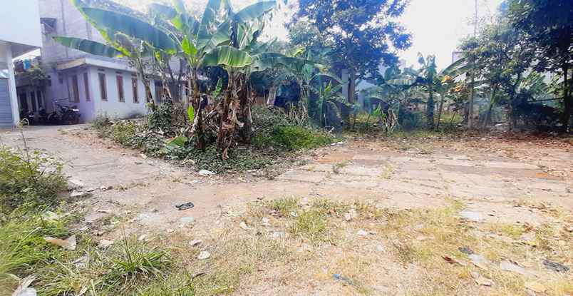 dijual tanah jalan mulya