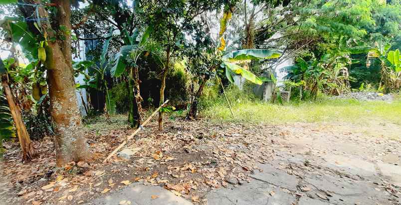 dijual tanah jalan mulya