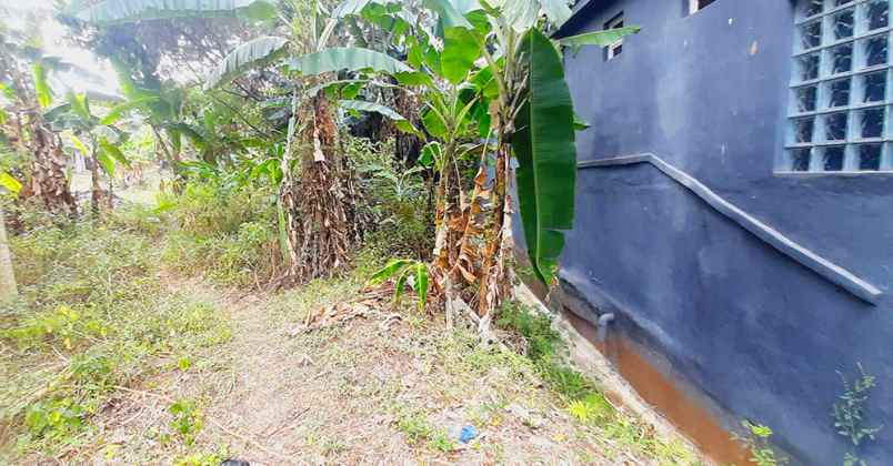 dijual tanah jalan mulya