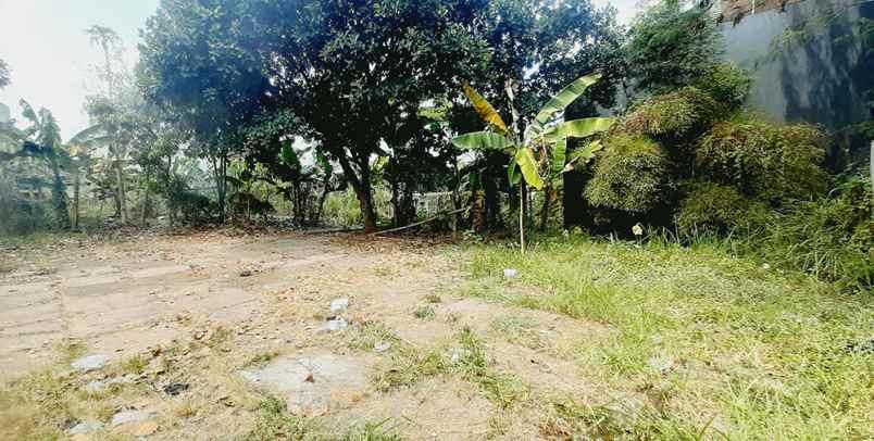 dijual tanah jalan mulya