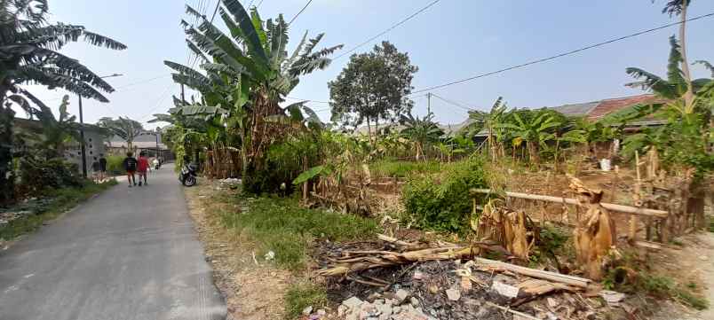 dijual tanah jalan raya cagar alam