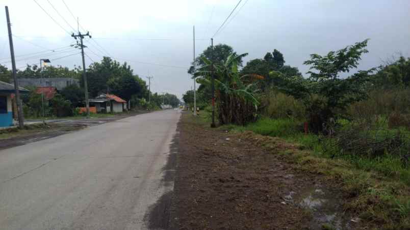 dijual tanah jalan raya subang cikamurang