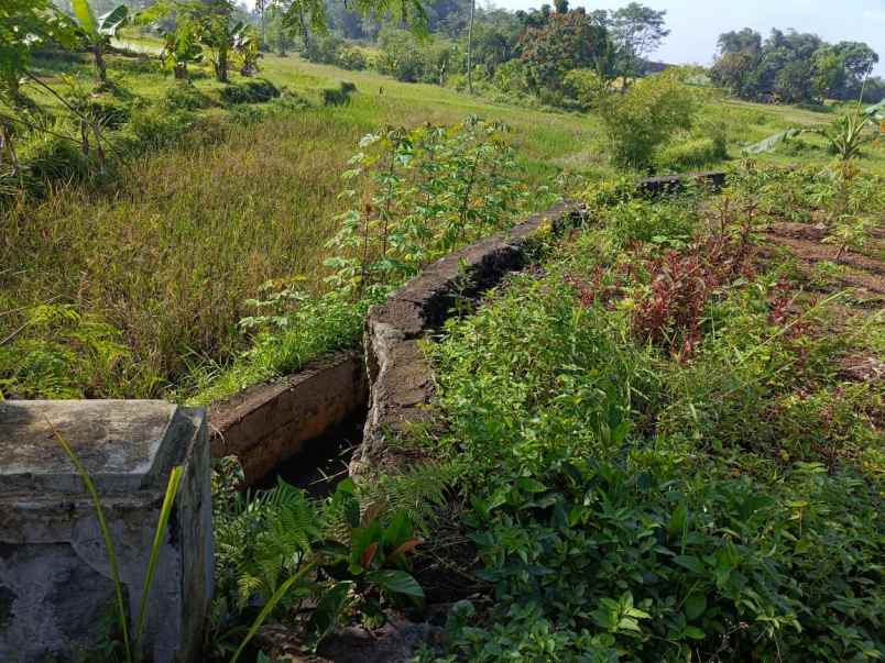 dijual tanah jalan sukasari