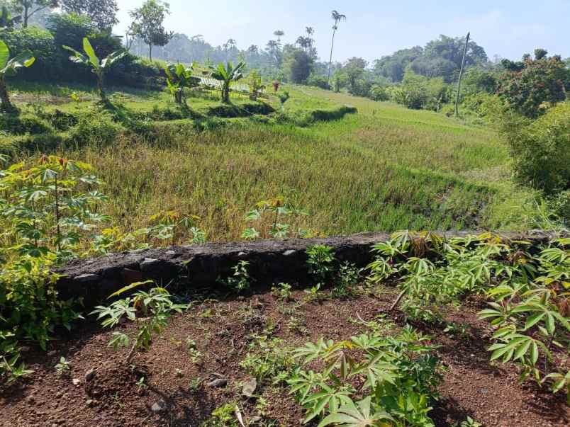 dijual tanah jalan sukasari