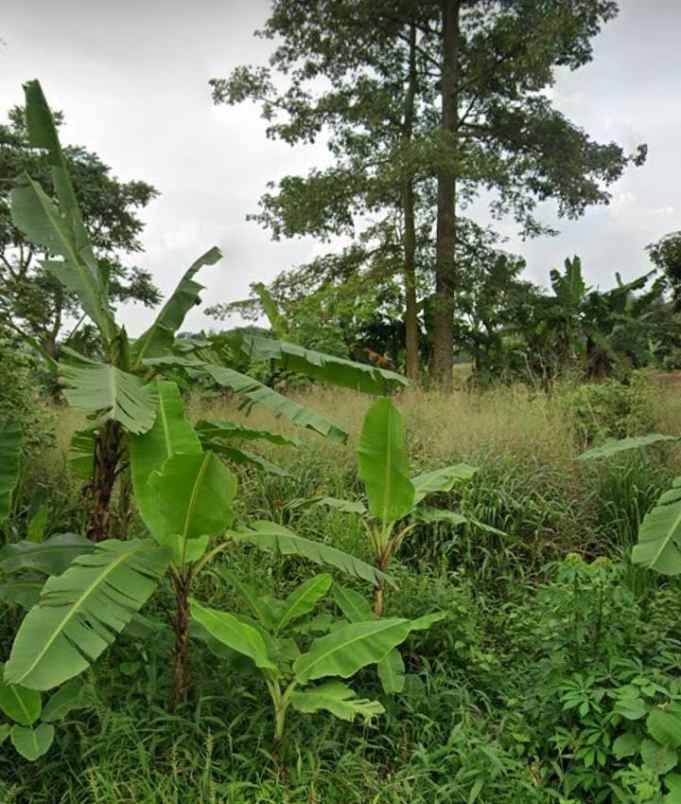 dijual tanah jalan susukan