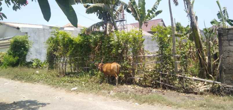 dijual tanah jalan tukad badung denpasar