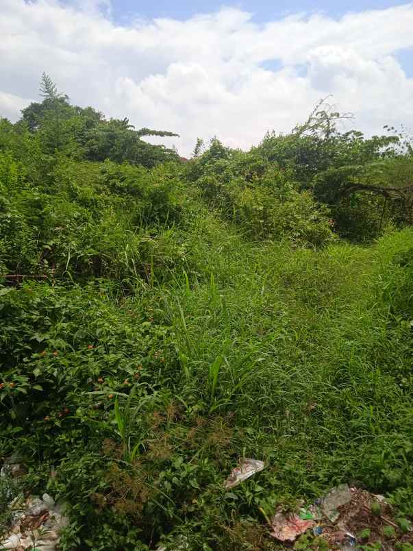dijual tanah jalan za pagaralam