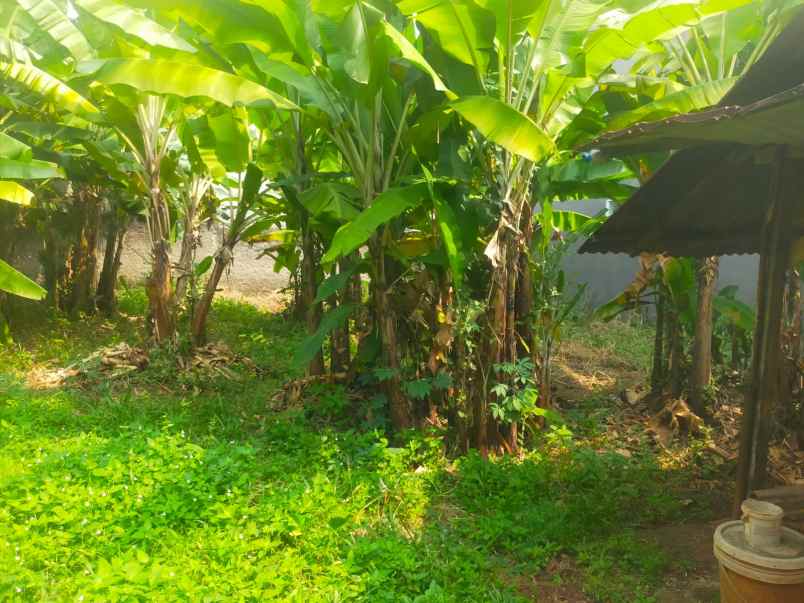 dijual tanah jatimakmur pondok gede bekasi
