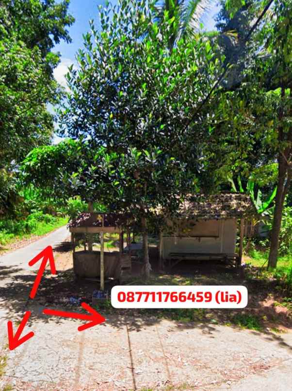 dijual tanah jl cibawang kelurahan