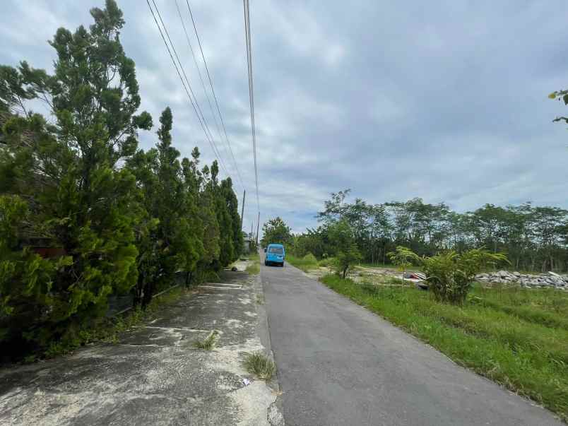 dijual tanah jl jambu sidokarto godean