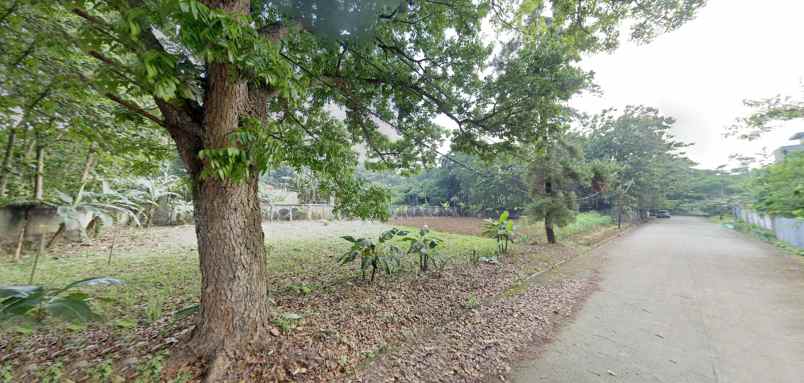 dijual tanah jl raya cisauk lapan