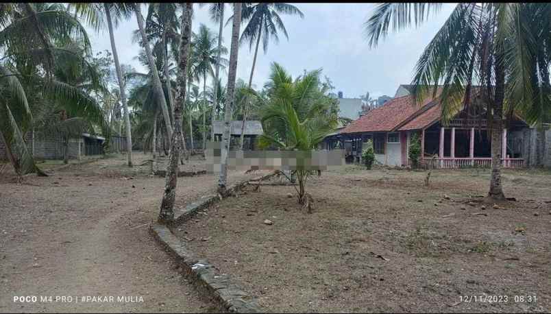 dijual tanah jl raya pamugaran