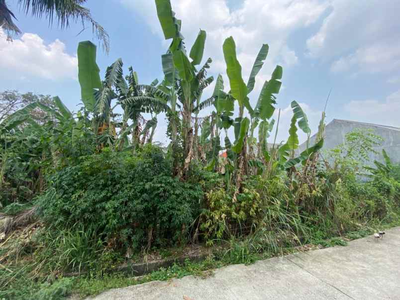 dijual tanah jl siun mampang kec