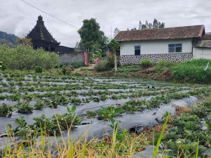 dijual tanah junggo kec bumiaji kota batu