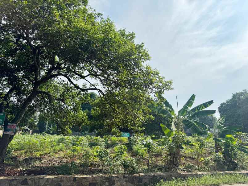 dijual tanah kampung rawa atug kel