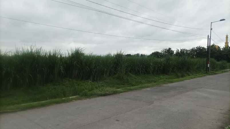 dijual tanah kedung sari kemlagi mojokerto