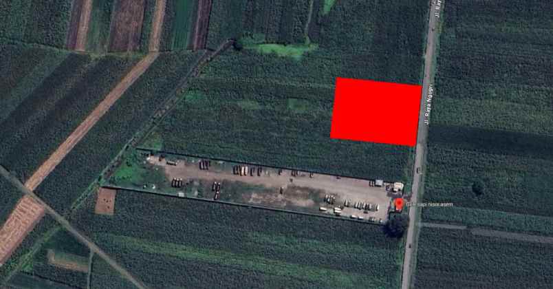 dijual tanah kedung sari kemlagi mojokerto