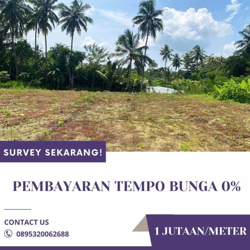 dijual tanah kenaruhan donokerto turi