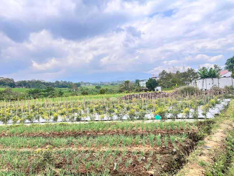 dijual tanah kerjo karanganyar