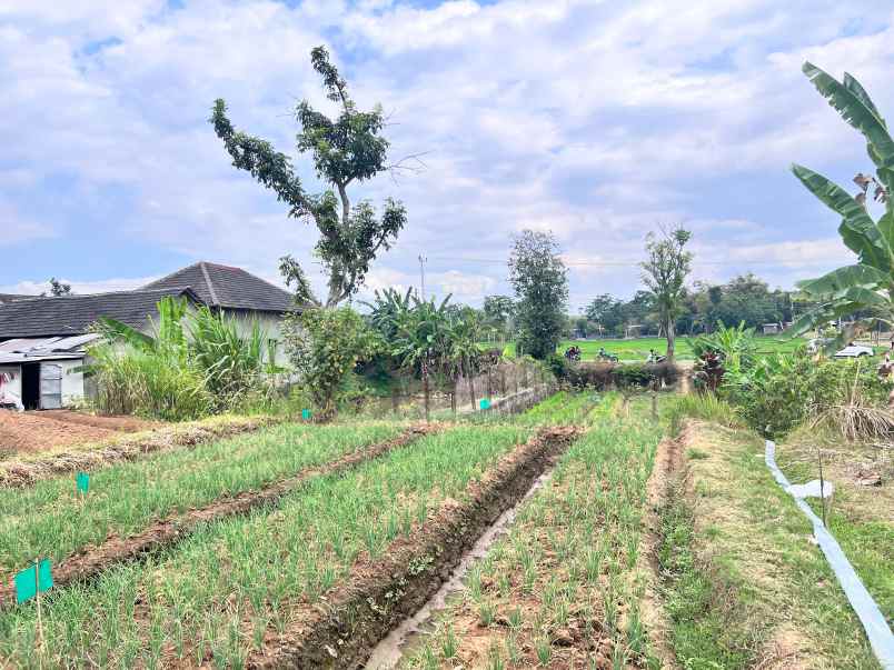 dijual tanah kerjo karanganyar