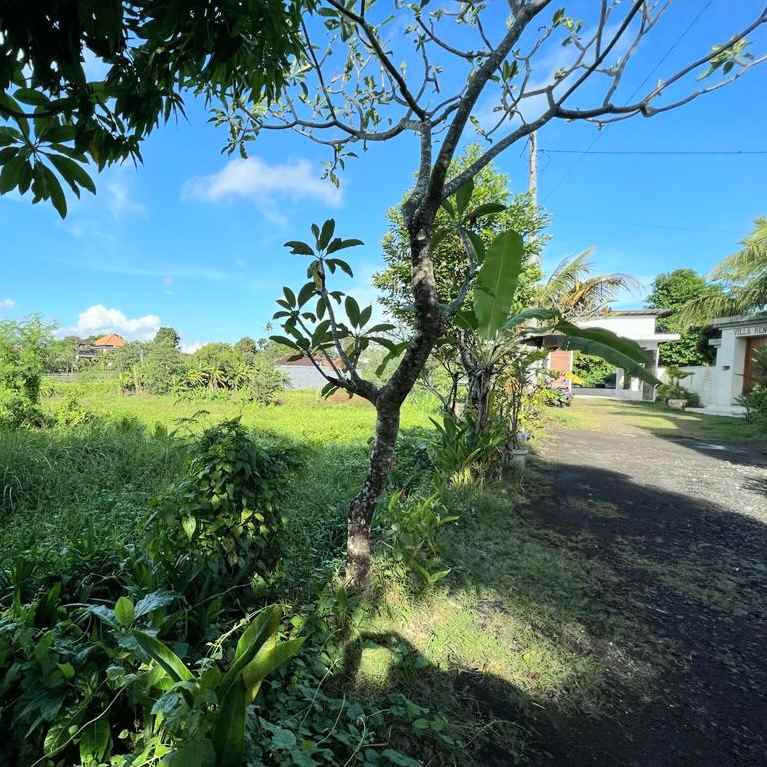 dijual tanah kesambi kedampang