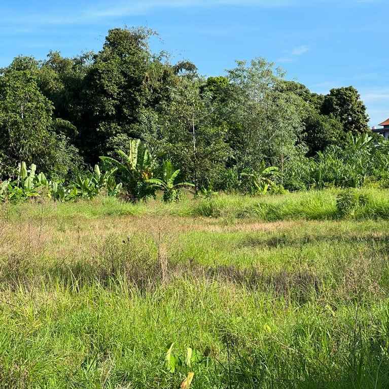dijual tanah kesambi kedampang