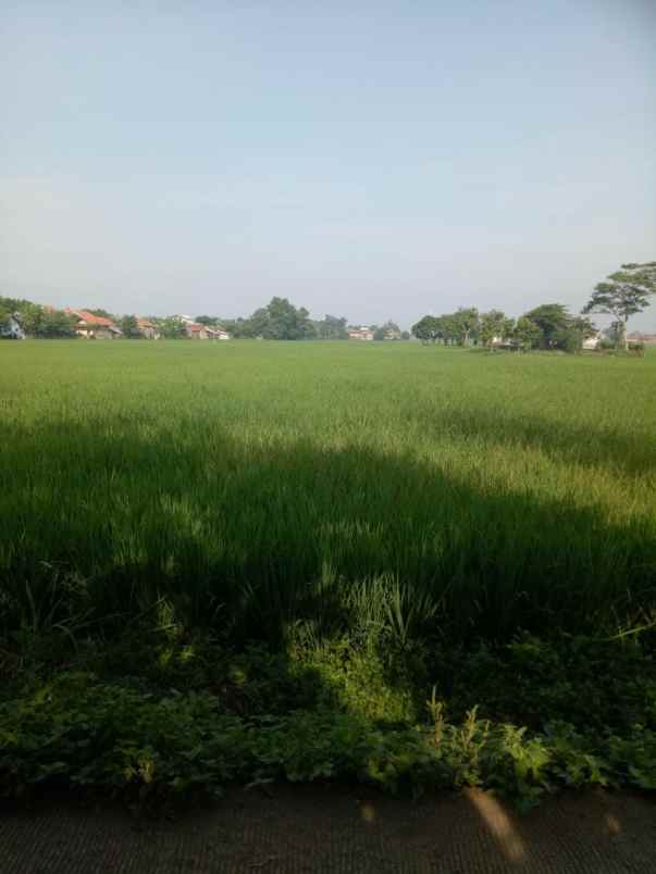 dijual tanah luas di bandung bu bangeeet